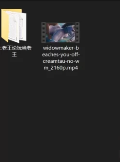 [自行打包] Creamtau大佬的作品Widowmaker Beaches(守望先锋的黑百合)4K 1币 [V1+181.93M][百度盘]